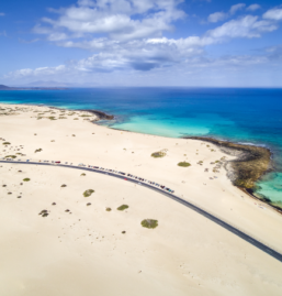 Fuertaventura