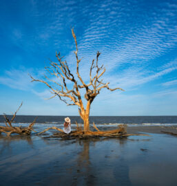 driftwood beach